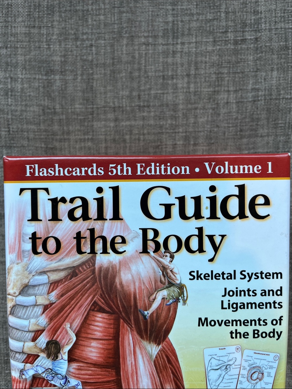 Trail Guide to the Body Books of Discovery Flashcards Vol. One 5th Edition - Picture 2 of 6